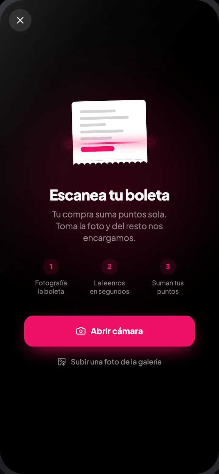 Escaneo de boleta